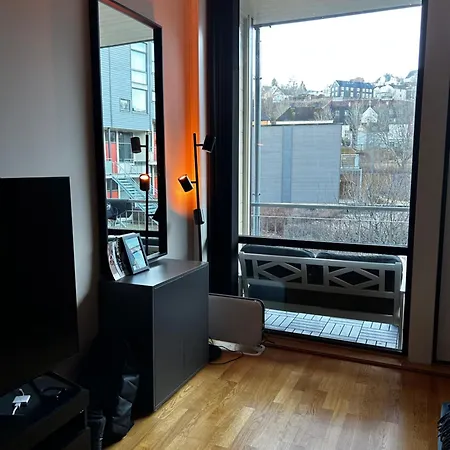 Innbydende 2-roms Pa Ilsvika Appartamento Trondheim